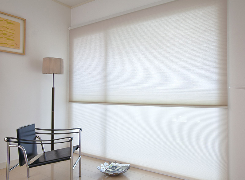 Honeycomb Blinds (2)