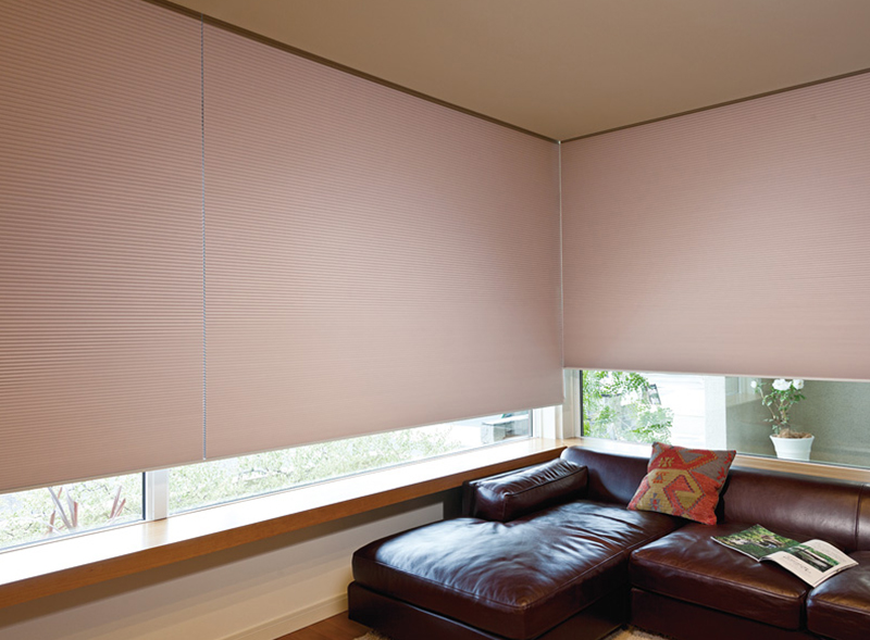 Honeycomb Blinds